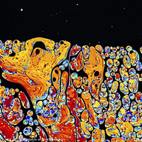Buy canvas prints of Jewelled Bear by Steve de Roeck