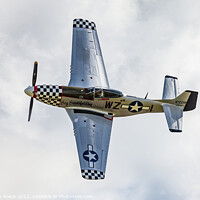 Buy canvas prints of P51D Mustang Big Beautiful Doll by Steve de Roeck