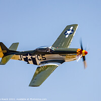 Buy canvas prints of North American P51D Mustang Lady Alice by Steve de Roeck
