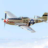 Buy canvas prints of North American P51 Mustang Marinell by Steve de Roeck