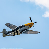 Buy canvas prints of North American P51D Mustang Ferocious Frankie by Steve de Roeck