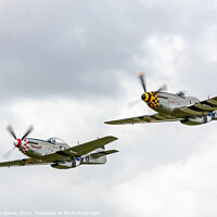 Buy canvas prints of Mustang Formation. by Steve de Roeck