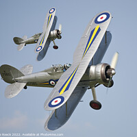 Buy canvas prints of Gloster Gladiator Pair by Steve de Roeck