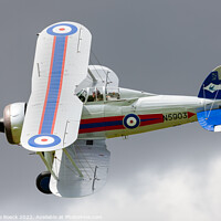 Buy canvas prints of Gloster Gladiator N5903 by Steve de Roeck