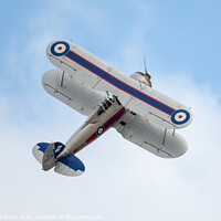 Buy canvas prints of Gloster Gladiator pulls up to a loop by Steve de Roeck
