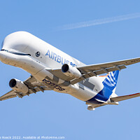 Buy canvas prints of Smiling Airbus A330-743L Beluga by Steve de Roeck