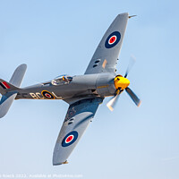 Buy canvas prints of Hawker Sea Fury T20 TG114 Turns Tight Low Overhead. by Steve de Roeck