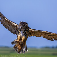 Buy canvas prints of Eurasian Eagle Owl stoops on its prey by Steve de Roeck