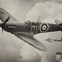 Buy canvas prints of Spitfire Escort by Steve de Roeck
