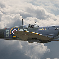 Buy canvas prints of Lone Hunter, Spitfire Mk IX by Steve de Roeck