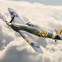 Buy canvas prints of Flying High; Royal Navy Hawker Sea Hurricane. by Steve de Roeck