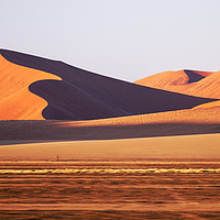 Buy canvas prints of Dunes by Steve de Roeck