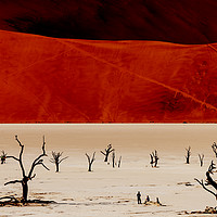 Buy canvas prints of Red Desert by Steve de Roeck