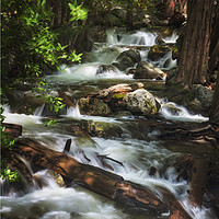 Buy canvas prints of Mountain Stream by Steve de Roeck
