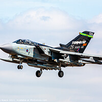 Buy canvas prints of Panavia Tornado Bomber Landing Approach by Steve de Roeck