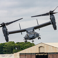 Buy canvas prints of Bell Boeing Osprey CV-22B In The Hover. by Steve de Roeck