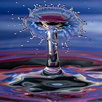 Buy canvas prints of Splash One by Steve de Roeck