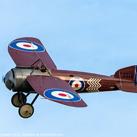 Buy canvas prints of Bristol Monoplane Scout by Steve de Roeck