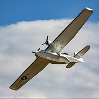 Buy canvas prints of Consolidated PBY Catalina by Steve de Roeck