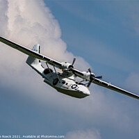 Buy canvas prints of Consolidated PBY Catalina by Steve de Roeck