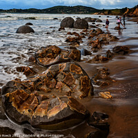Buy canvas prints of Moeraki Boulders, Koekohe Beach, Otago by Steve de Roeck
