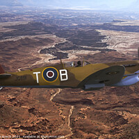 Buy canvas prints of Spitfire LFVc T-B by Steve de Roeck