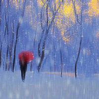Buy canvas prints of Red umbrella in the snow by Pavel Ivanov