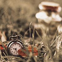 Buy canvas prints of Vintage clock in the grass by Pavel Ivanov
