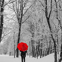 Buy canvas prints of Walking in the snow by Pavel Ivanov