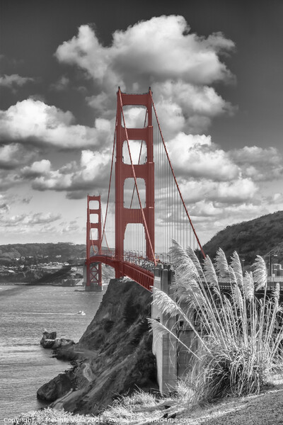 SAN FRANCISCO Golden Gate Bridge | colourkey Picture Board by Melanie Viola