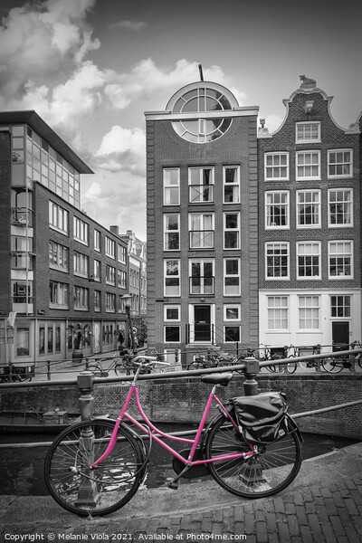 AMSTERDAM Flower Canal | colorkey  Picture Board by Melanie Viola
