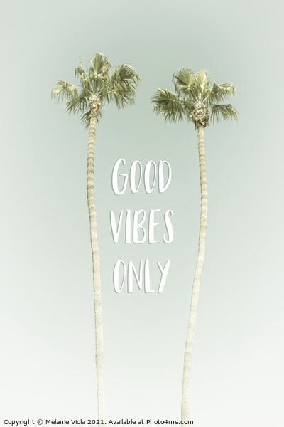 Good vibes only | Idyllic Palm Trees Picture Board by Melanie Viola