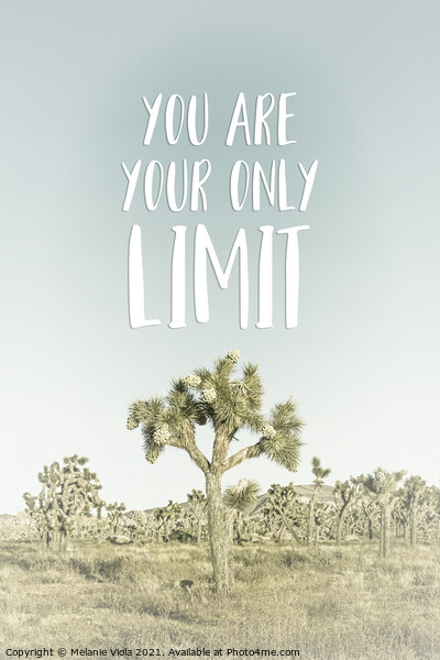 You are your only limit | Desert impression Picture Board by Melanie Viola