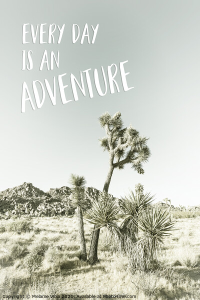 Every day is an adventure | Desert impression Picture Board by Melanie Viola