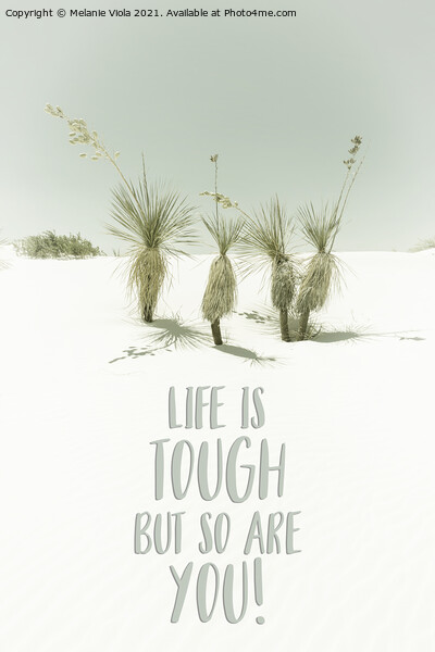 Life is tough but so are you | Desert impression Picture Board by Melanie Viola
