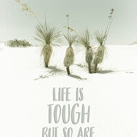 Buy canvas prints of Life is tough but so are you | Desert impression by Melanie Viola