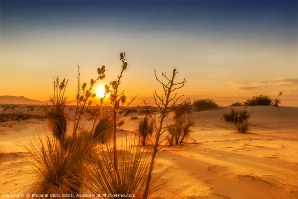 White Sands National Monument Sunset Picture Board by Melanie Viola