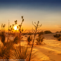 Buy canvas prints of White Sands National Monument Sunset by Melanie Viola