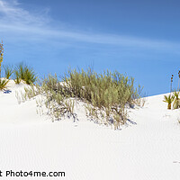 Buy canvas prints of WHITE SANDS Idyllic Panoramic View  by Melanie Viola