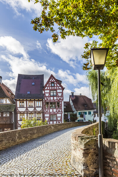 GERMANY Idyllic Old Town in Ulm Picture Board by Melanie Viola