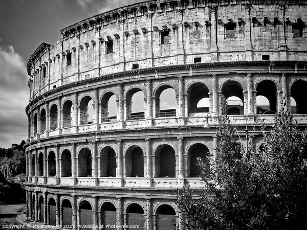 ROME Colosseum Picture Board by Melanie Viola