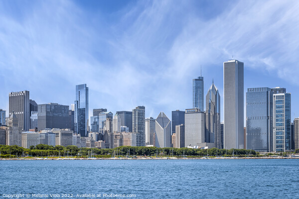 Chicago Skyline  Picture Board by Melanie Viola