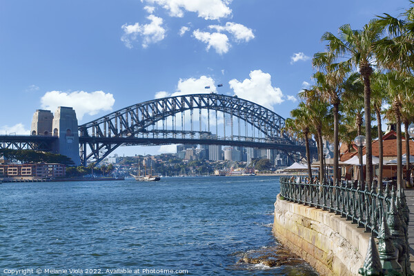 Sydney Harbor Bridge Picture Board by Melanie Viola