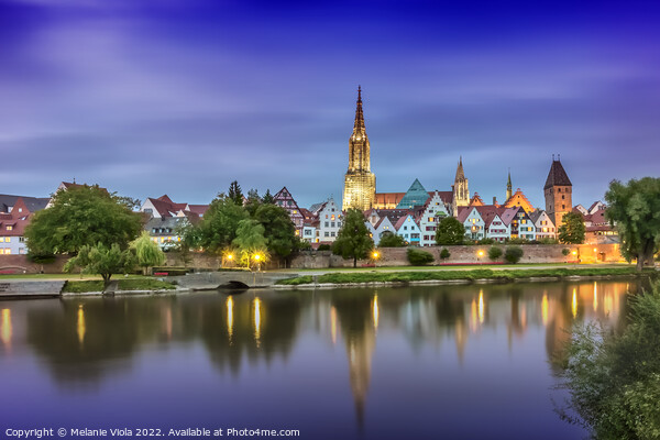 Skyline of Ulm with the Danube River Picture Board by Melanie Viola