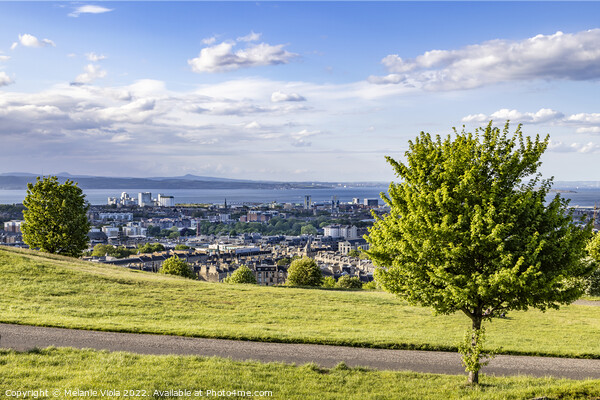 View from Calton Hill towards Leith Picture Board by Melanie Viola