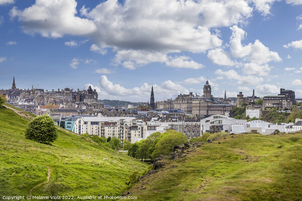 View over Edinburgh from Holyrood Park Picture Board by Melanie Viola
