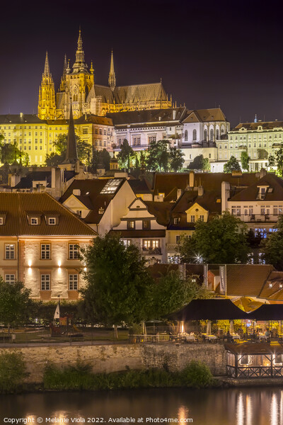 Prague Castle and St. Vitus Cathedral by night Picture Board by Melanie Viola