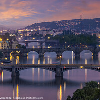 Buy canvas prints of Evening view over the Vltava bridges in Prague by Melanie Viola