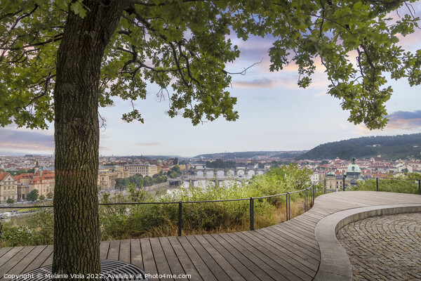 Evening view over Prague from Letna Park Picture Board by Melanie Viola