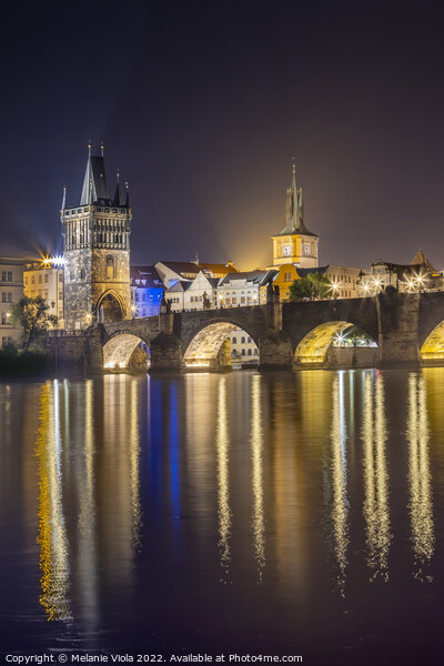 Charles Bridge and Old Town Bridge Tower by night Picture Board by Melanie Viola